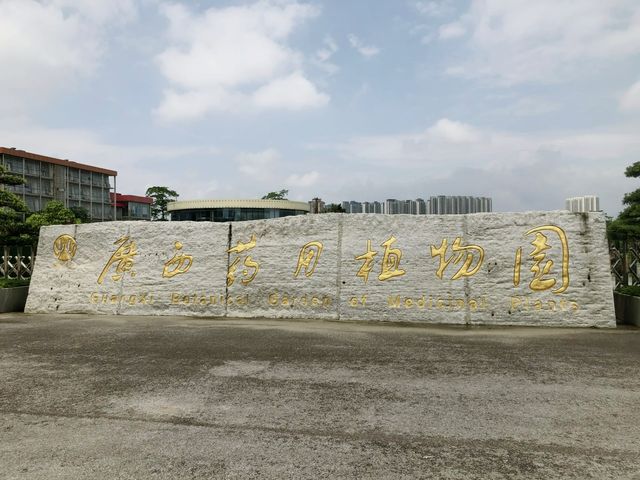 世界最大的藥用植物園!原來就在廣西!