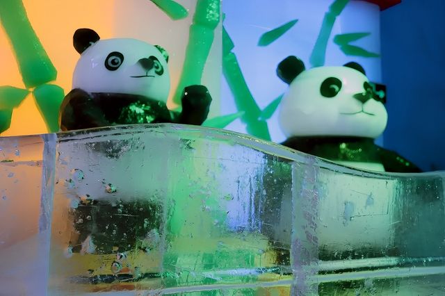 深圳人有自己的“爾濱”！｜深圳野生動物園裡的冰雪世界!