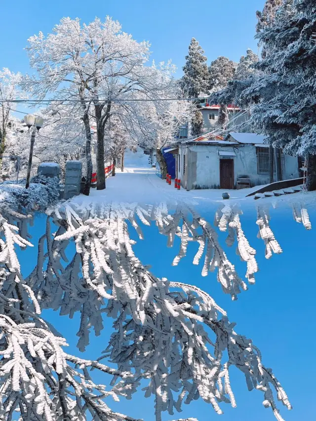 Snow Town in the South - Lushan, Jiangxi, the ceiling for snow viewing in the south!