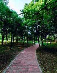 金海濕地公園,這裡不僅僅只有濕地