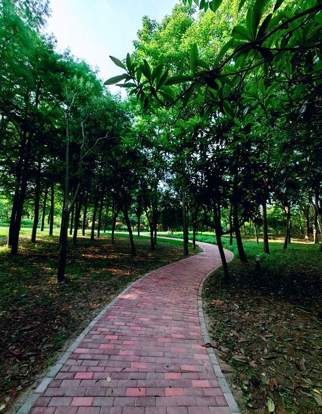 金海濕地公園,這裡不僅僅只有濕地 金海濕地公園,這裡不僅僅只有濕地