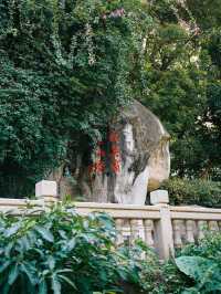 錯峰出遊丨廈門新地標打卡點可別錯過
