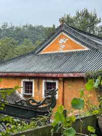 在稻子黃柿子紅的時節去國清寺啦