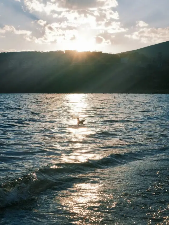 쿤밍의 외로운 바다, 사진 찍기는 최고다~