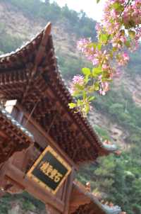 禮拜玄中寺