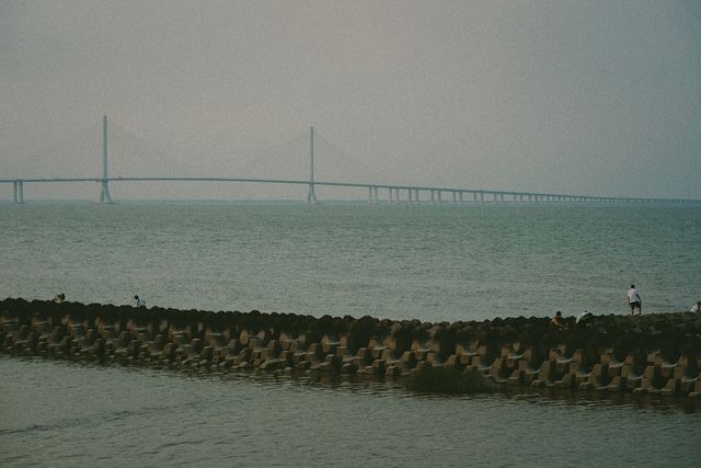 小眾的島嶼，人少景美，在上海免費看大海