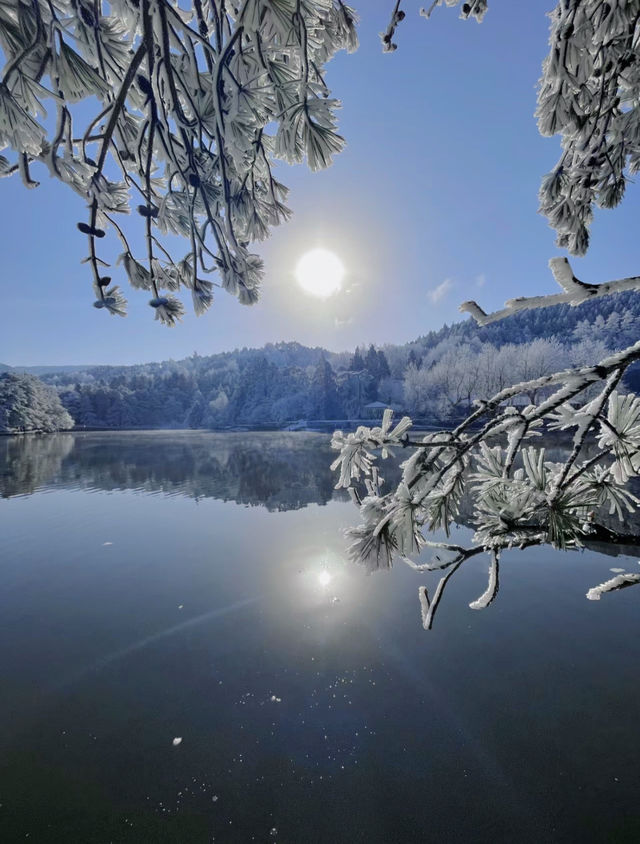 今年冬天第一場雪｜想和誰去艾特誰