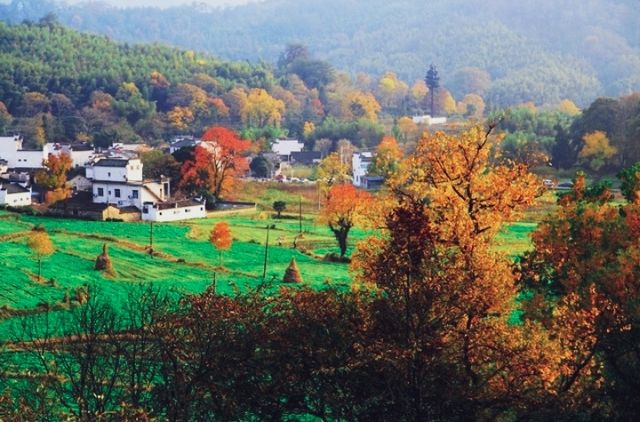 塔川初冬：秋色已逝，但寧靜與美麗依舊