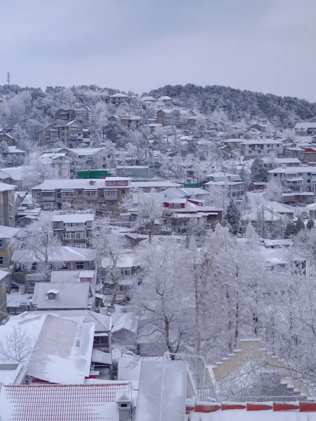 一起去廬山看看雪吧