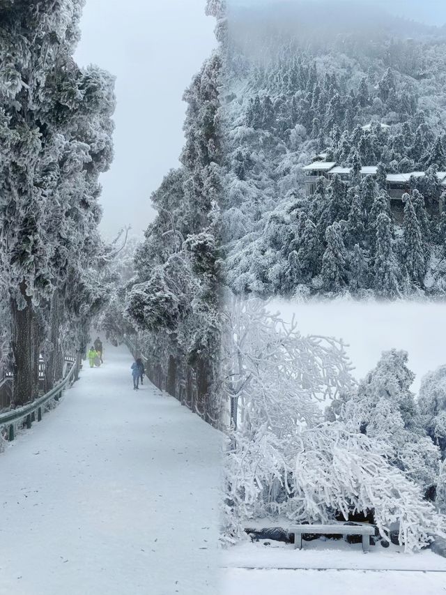 南方人看雪看霧凇必去之地……