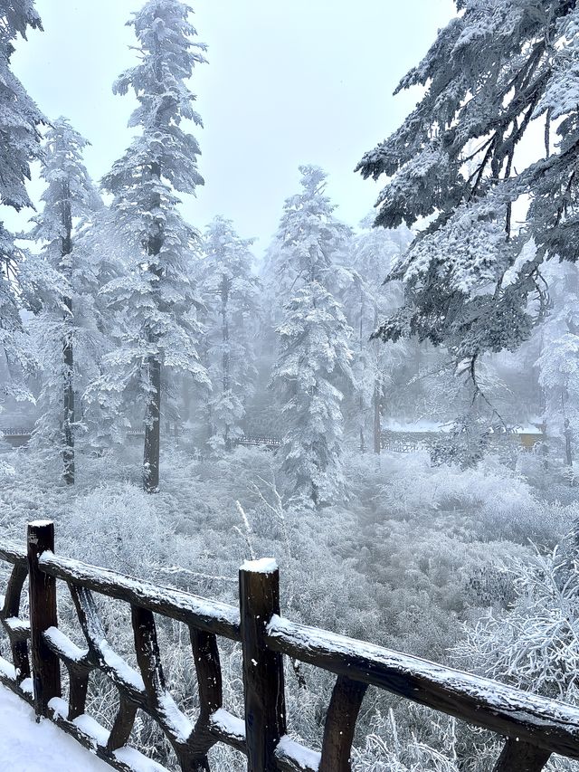 瓦屋山踩雪日記（附攻略