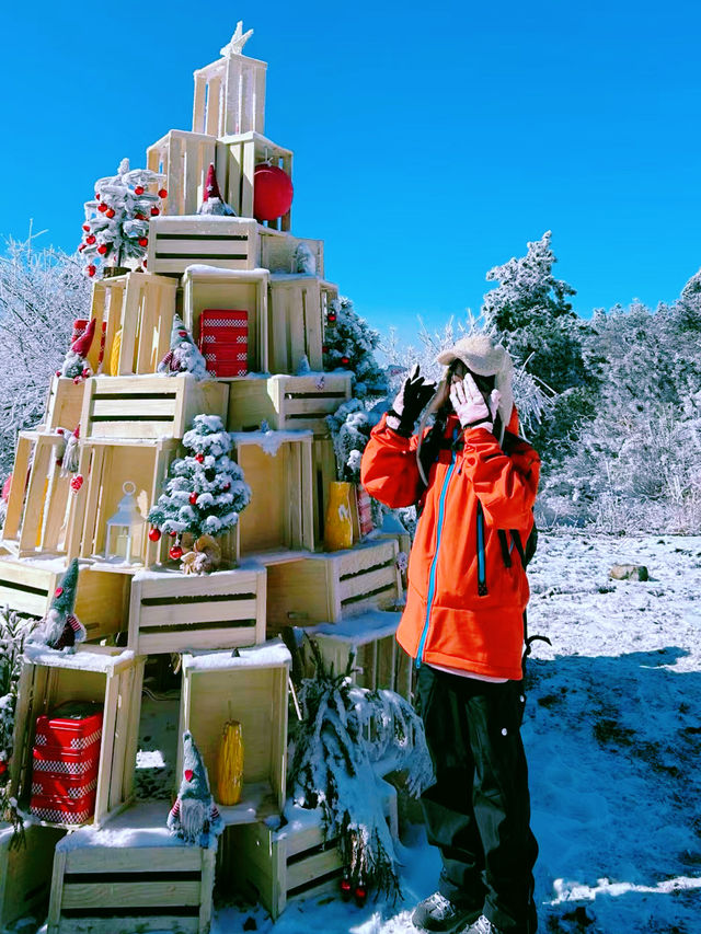 你們都去浙西天池吧｜讓我獨享這百丈岭的雪徒步—百丈岭追雪之旅