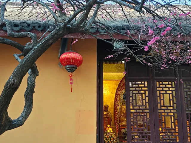 湖州鐵佛寺 | 江南最有靈性的梅花盛開