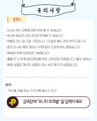 🎄 서유럽 크리스마스 마켓 투어, 성수기 특가로 모집합니다! 🎄