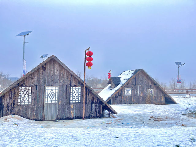 雲山冰雪樂園之帝企鵝日記