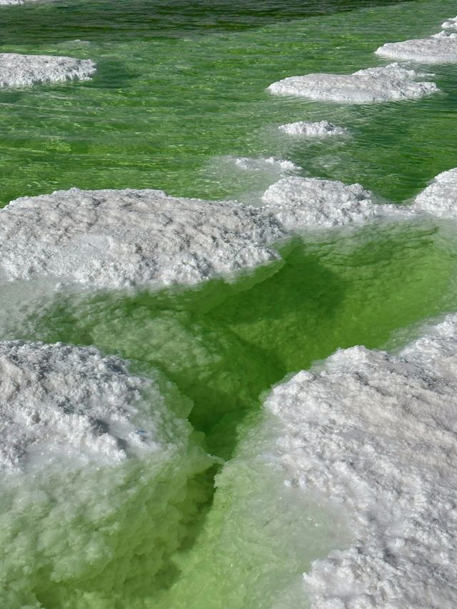在鹽湖感受大自然的魅力！