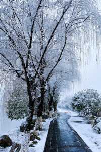 在宜春遇見最美的雪景！