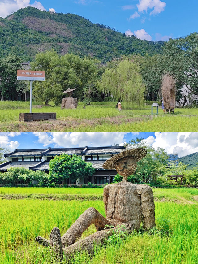 不是大理是惠州疊水梯田蕩秋千太浪漫了