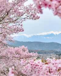 走近日本九州6天｜這裡比動漫還要美