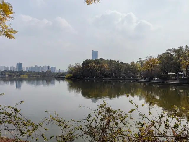 아이들을 데리고 남호공원에 가서 봄기운을 느껴보세요