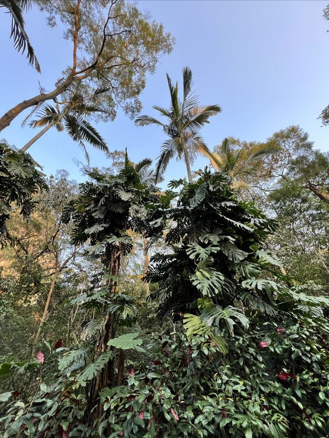 天氣晴朗的時候來龍潭公園走走吧～