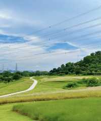 天啦噜!!又到了這個公園最美的季節別錯過來到這裡