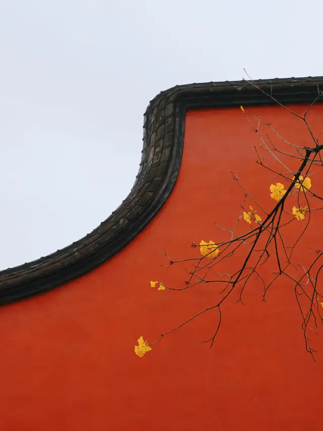 Fuzhou | Shangxiahang The romance of red walls and yellow flowers is truly understood by few