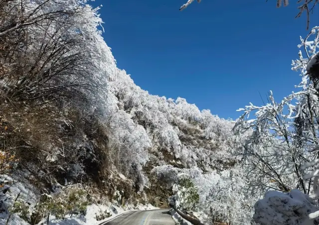 Never go to Yang Baiyun Mountain