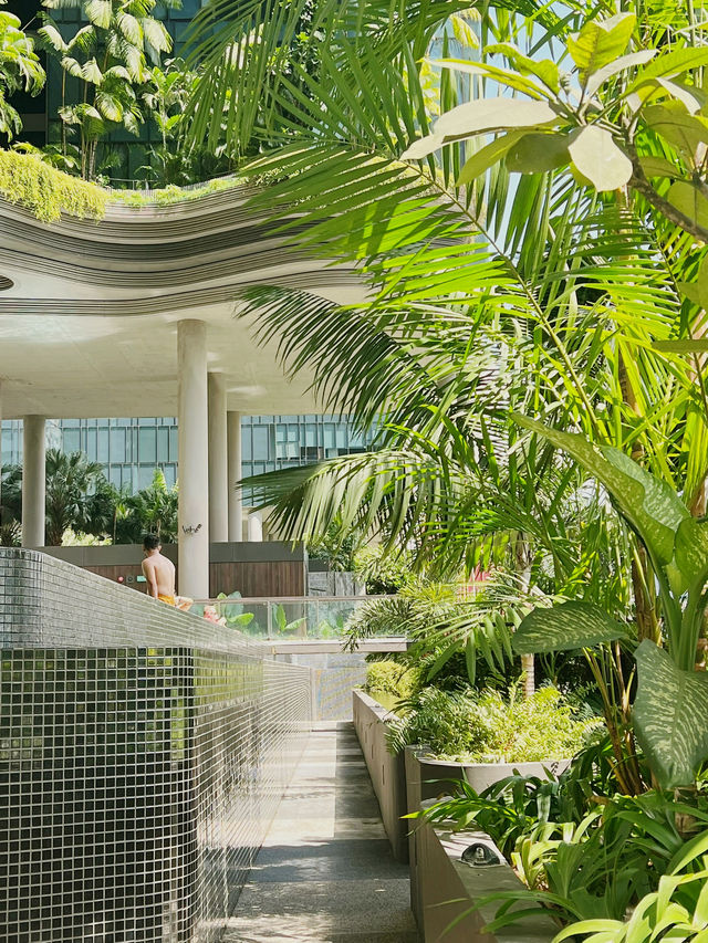 來新加坡一定要住的神仙酒店！！！