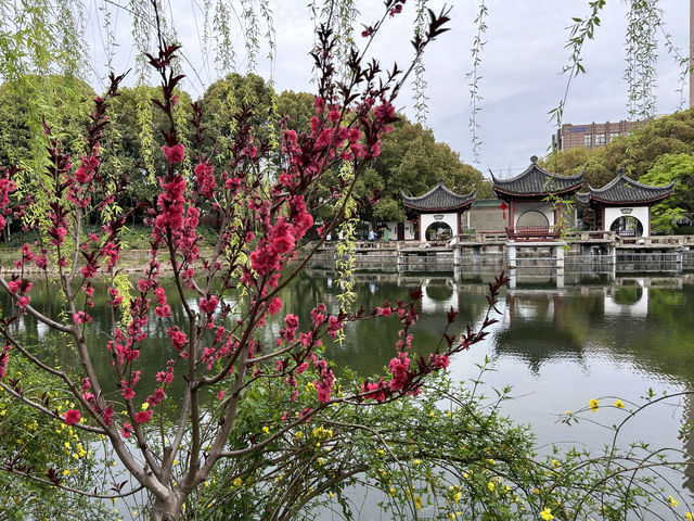 雙休日休閒娛樂的好地方——古華園