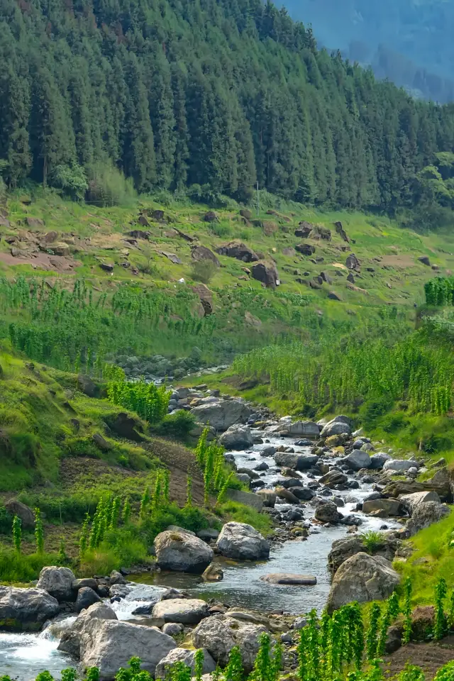 My Moments are almost driven crazy by questions—everyone thinks I went to Xinjiang
