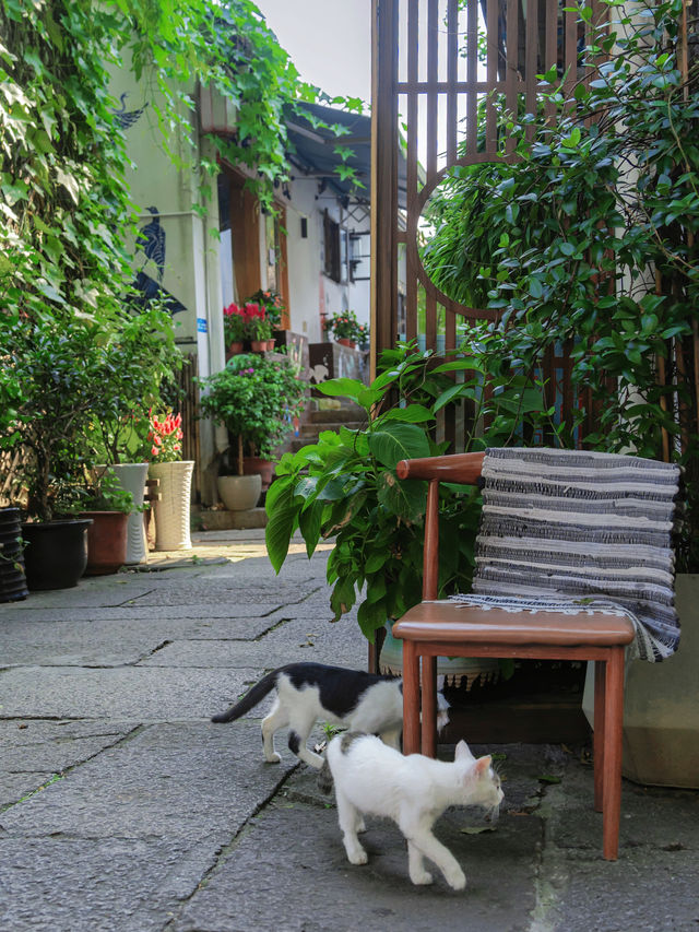 In addition to West Lake, this old street in Hangzhou is even more worthy of a visit‼️