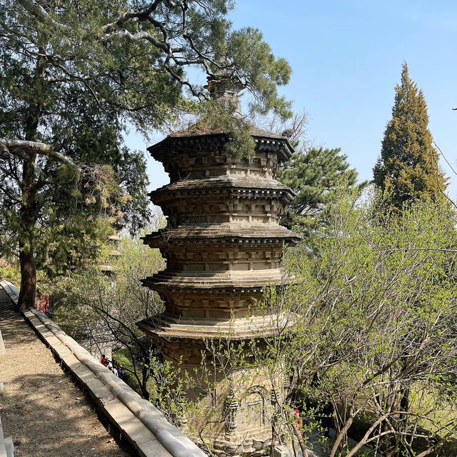 戒台寺｜尋覓心靈的寧靜角落