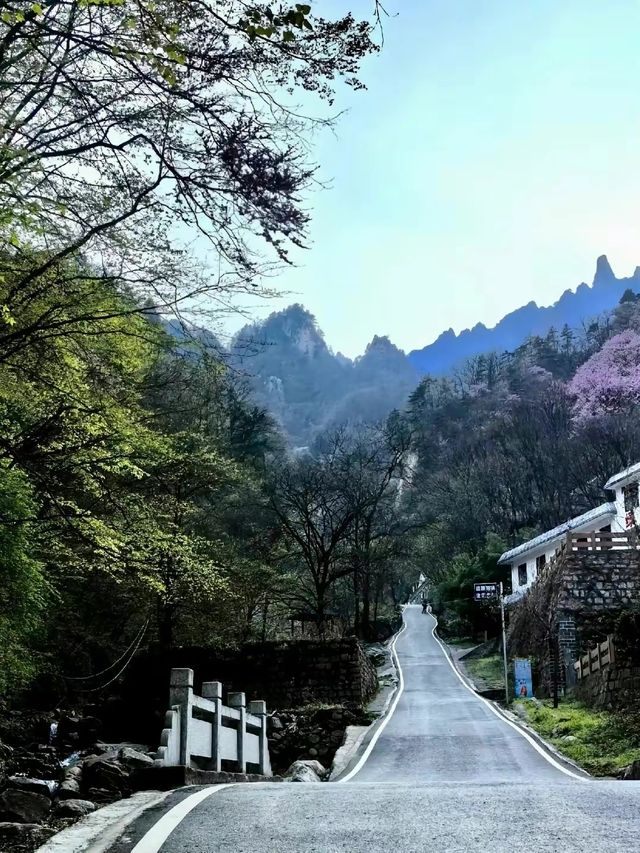 瑤山風景區～探尋瑤山風景區的瑰麗之美～