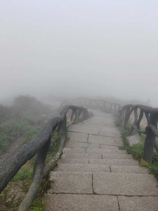 深圳大小梧桐山超詳細攻略