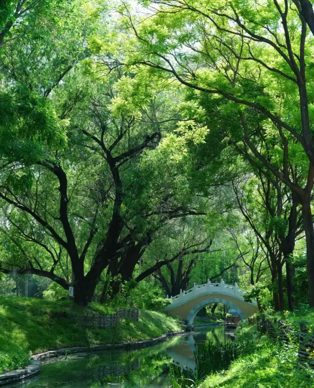 สวนสมเด็จพระสังฆราช: ฝันในวันใบไม้ผลิของสวนสวยระดับพระราชวัง