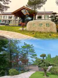 打卡張天愛都去的民宿，紹興新昌天姥隱，山谷雲海間的森林樹屋