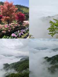暑假避暑好去處雲冰山遺落人間的仙境
