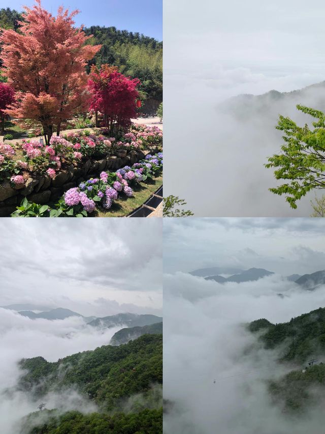 暑假避暑好去處雲冰山遺落人間的仙境
