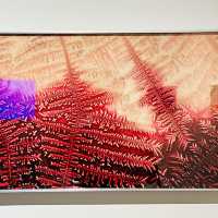 來深圳光明文化藝術中心美術館一起看展啦