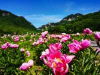 東北小江南，靠近朝鮮