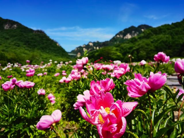 東北小江南，靠近朝鮮