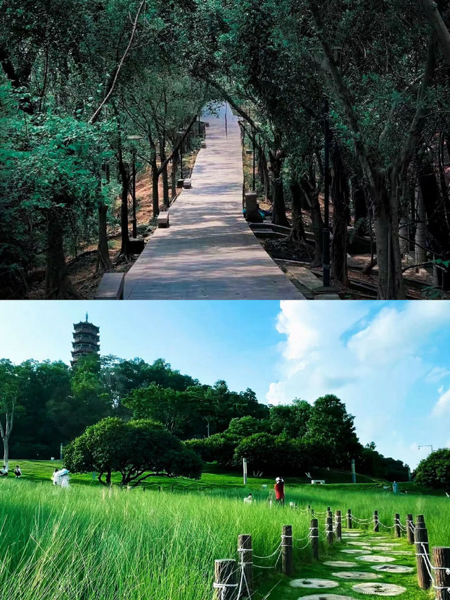 闖進宮崎駿的夏天深圳紅花山公園