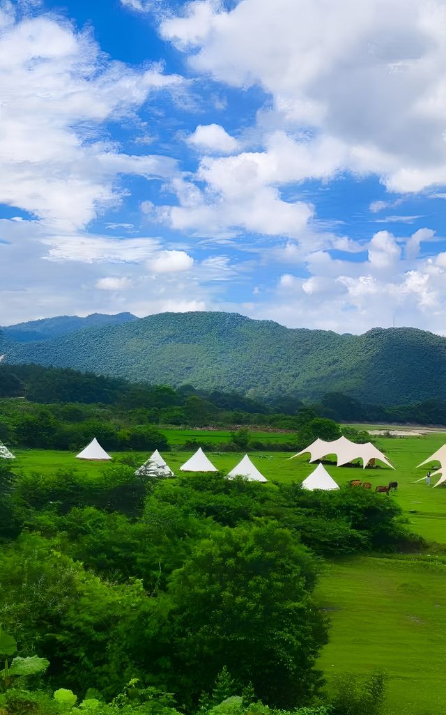 廣州出發周邊遊 草原牛羊大山好治癒呀