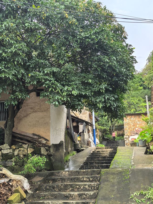 遠方不遠只要心之所向第二十二篇～～饒平東坑村