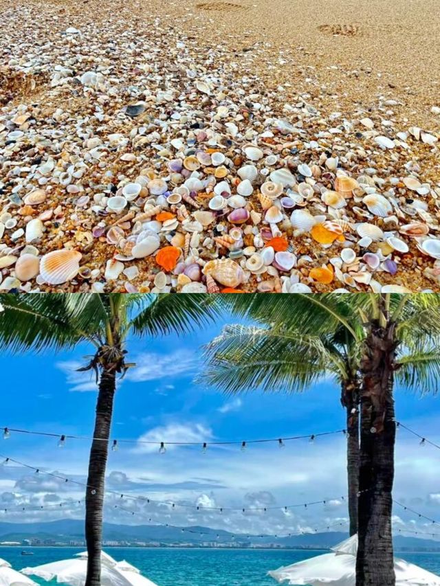 哦！海南還有這樣的小眾玩法！