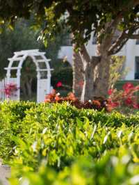 🌴 Marsa Alam Magic: Unwind at Hilton Nubian! 🏖️