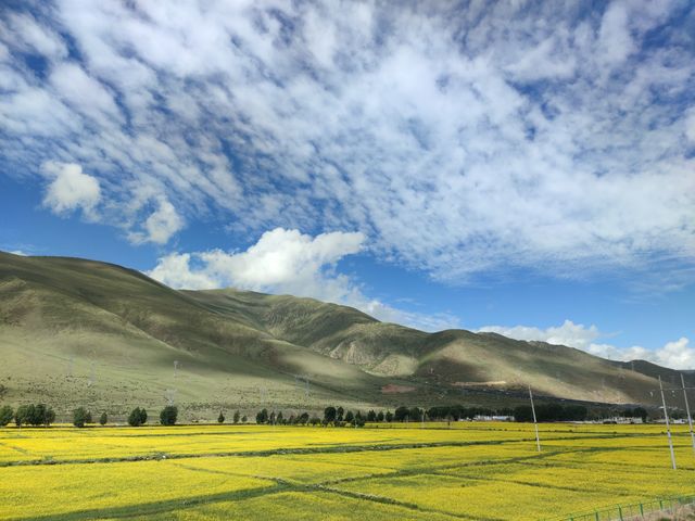 西藏終於不再是遠方! 西藏終於不再是遠方!