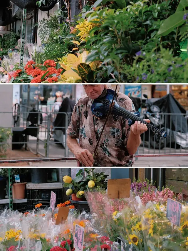 Hong Kong Mong Kok Flower Market