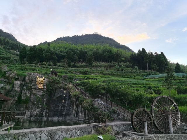青田縣吳坑鄉尚仁村